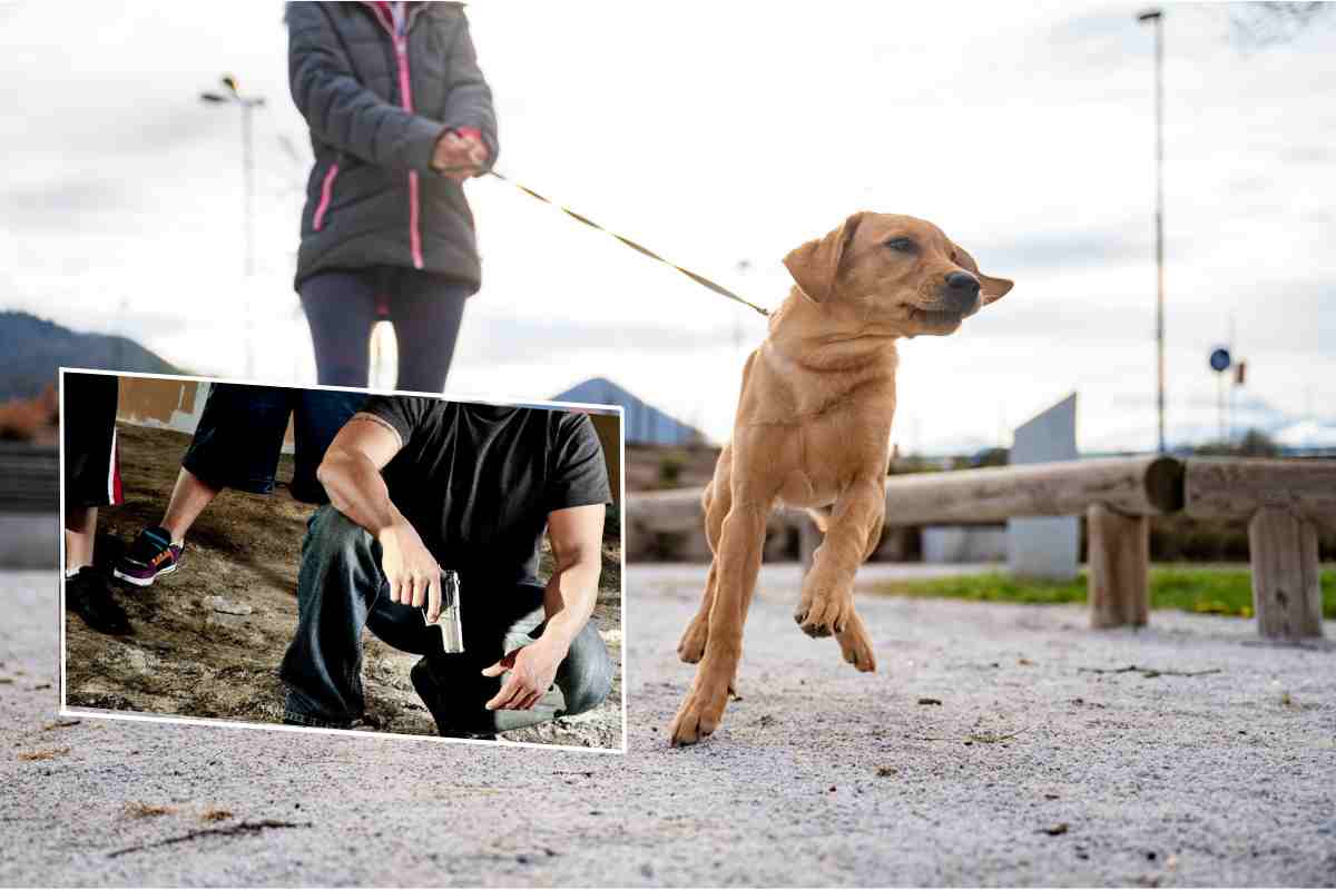 Ucciso da baby gang mentre porta a passeggio il cane, quanti anni aveva la vittima