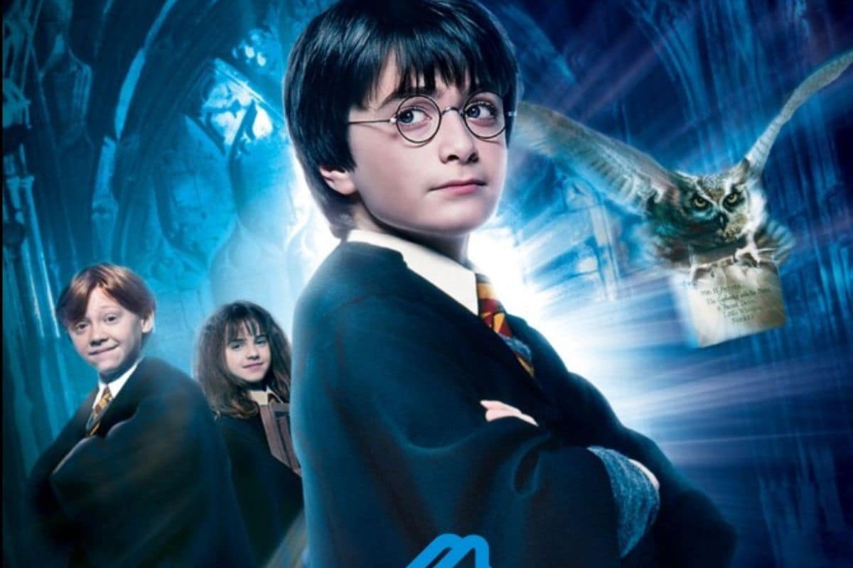Harry Potter, Ermione, Ron e Edvige