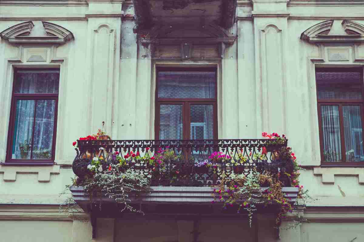 Questa pianta balcone profumato