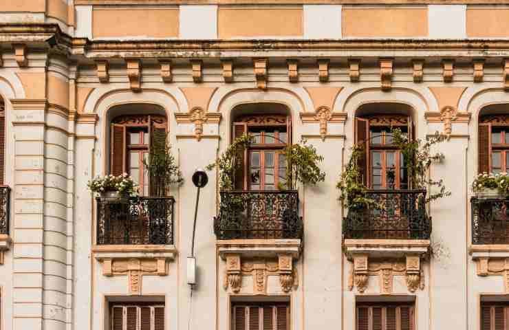 Questa pianta balcone profumato