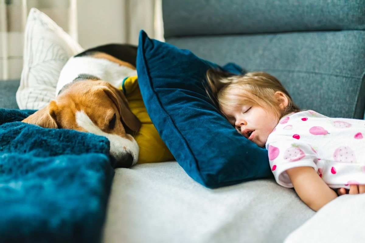 Bambina dorme insieme al cane