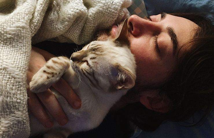 Ragazzo dorme con il suo gatto
