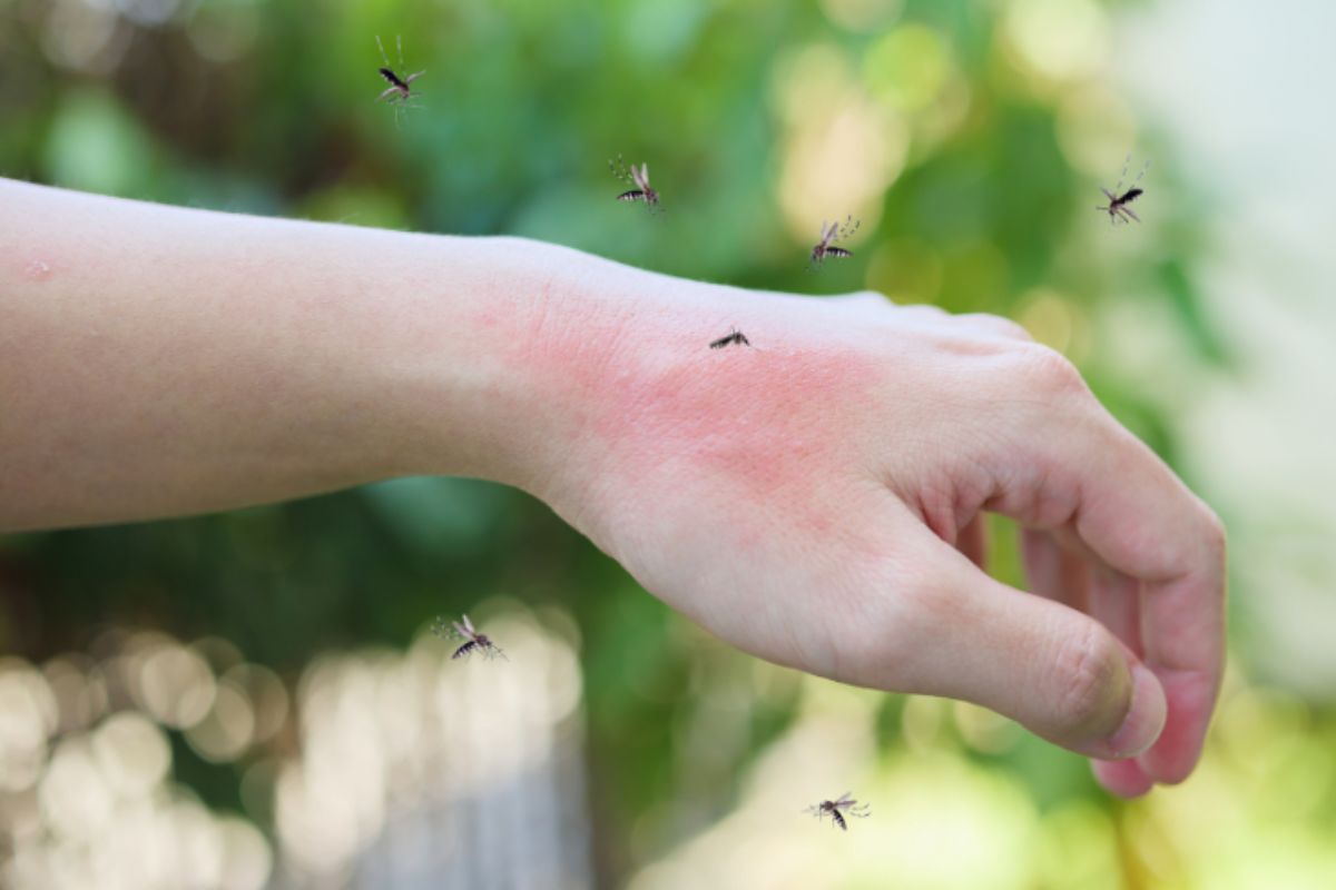 rimedi antizanzare naturali