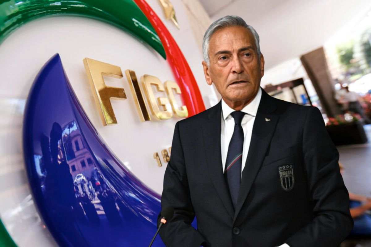 Il presidente Figc Gabriele Gravina